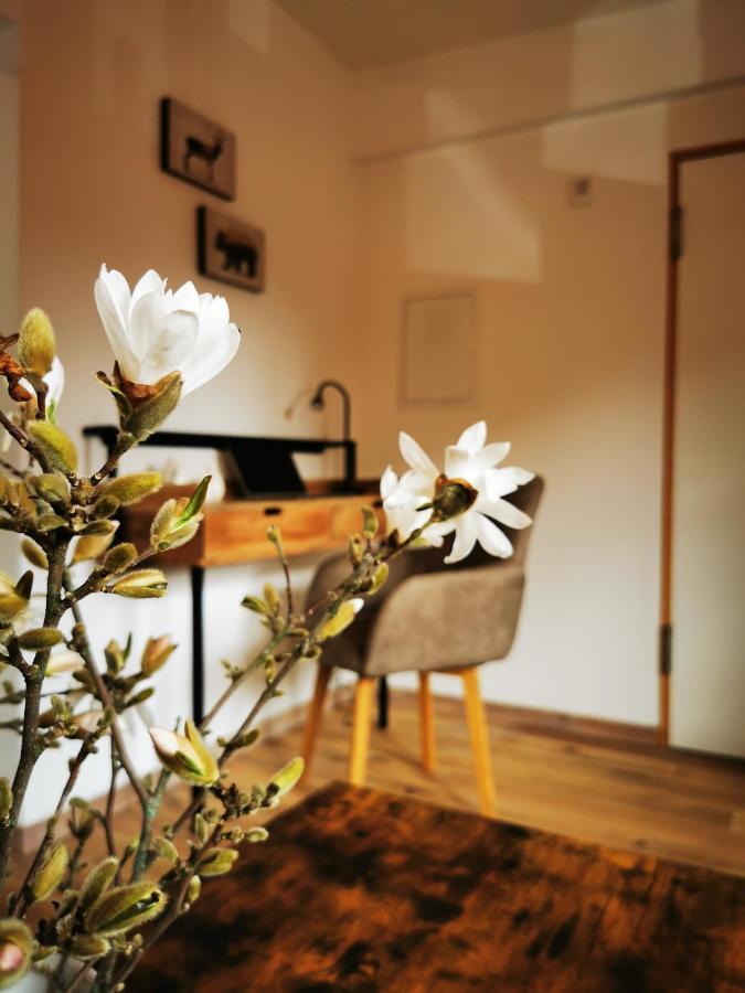 Haselnuss Apartman Ilsenburg Kültér fotó